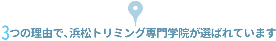 3つの理由で、浜松トリミング専門学院が選ばれています